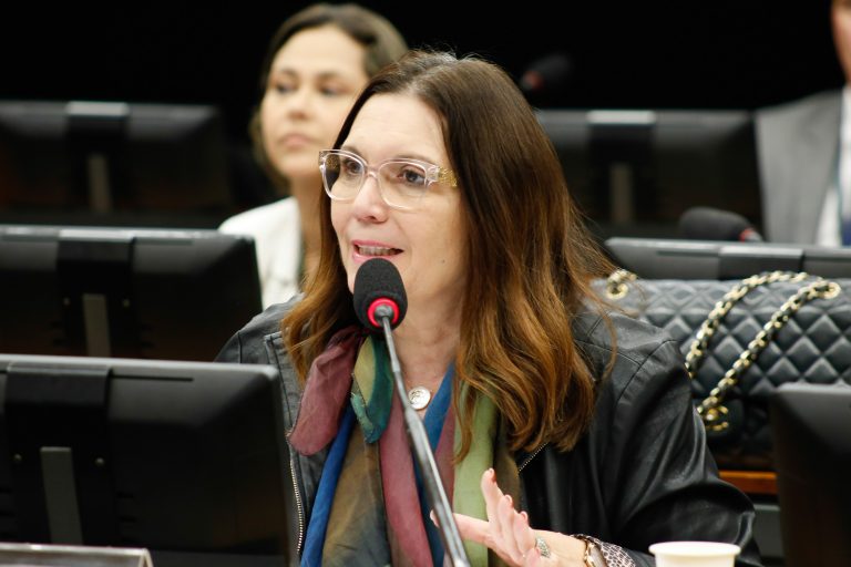 A relatora, deputada Bia Kicis